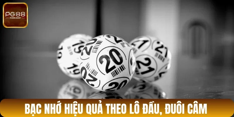 Cách soi cầu bạc nhớ theo đầu, đuôi lô câm hiệu quả