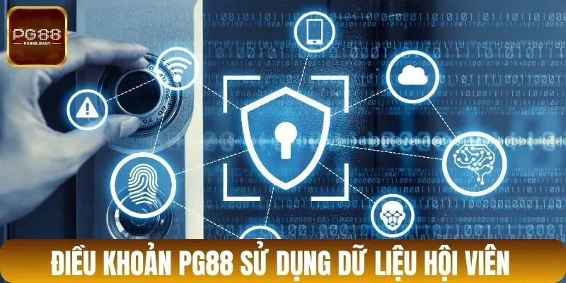 Điều khoản PG88 sử dụng dữ liệu hội viên