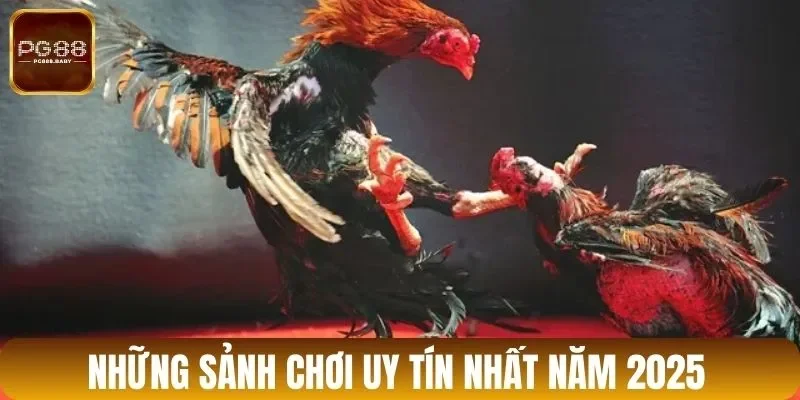 Những sảnh chơi uy tín nhất năm 2025