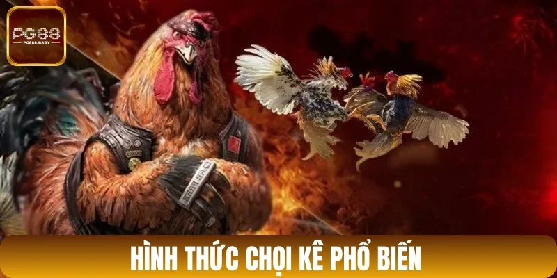 Khám phá các loại hình đá gà đình đám