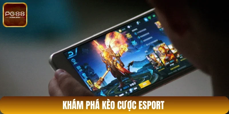 Những kèo cược thể thao điện tử PP