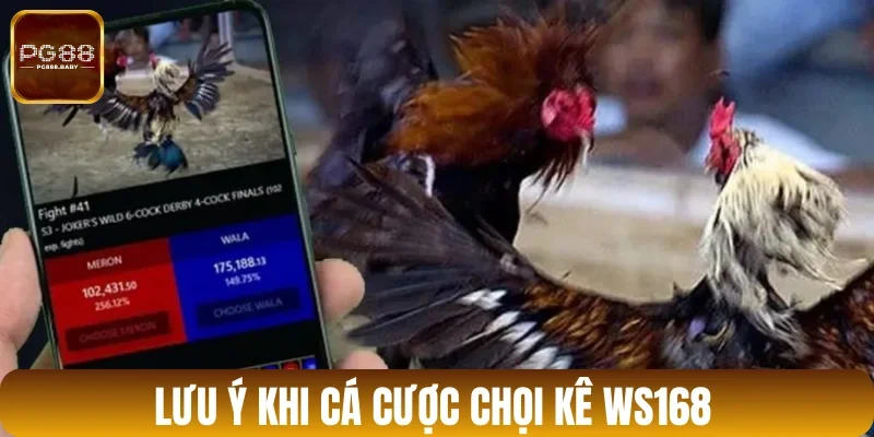 Một số điểm quan trọng cần nhớ