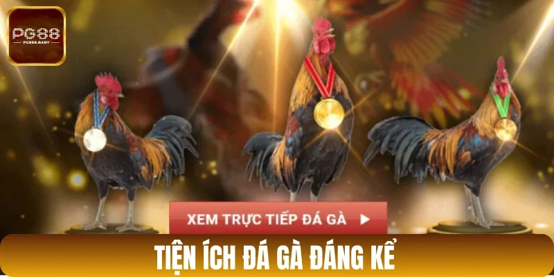 Đánh giá tiện ích không thể rời mắt