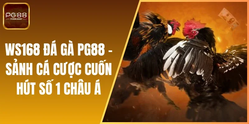 WS168 Đá Gà PG88 - Sảnh Cá Cược Cuốn Hút Số 1 Châu Á