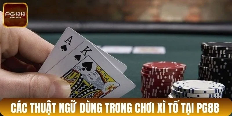 Các thuật ngữ dùng trong chơi xì tố tại PG88