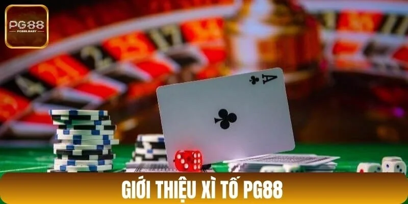 Giới thiệu xì tố PG88