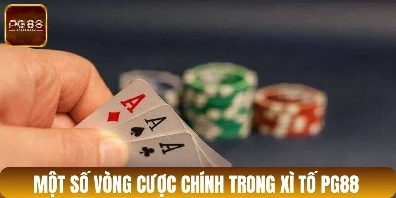 Một số vòng cược chính trong xì tố PG88