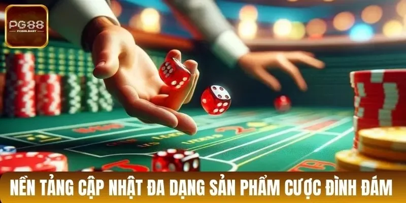 Nền tảng cập nhật đa dạng sản phẩm cược đình đám